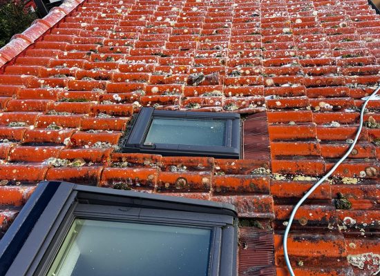 WhatsApp Image 2024-10-16 at 10.43.51 (3)